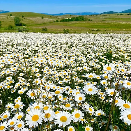 Visoravan 1200 Apartman