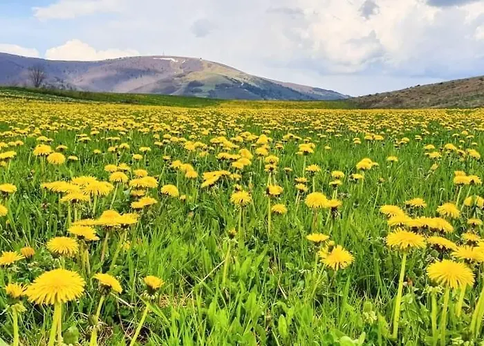 Visoravan 1200 Kupres