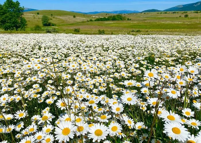 Visoravan 1200 Apartman